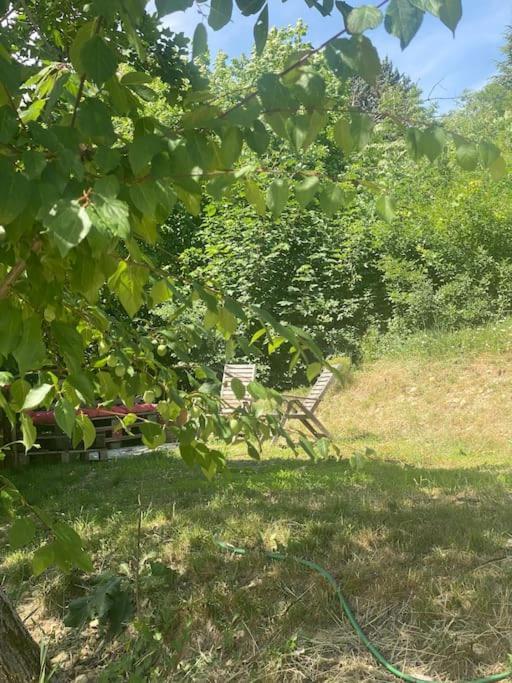 Villa Les Terrasses Dans La Nature Avec Piscine A 2 Pas De Lyon, Metro A 15Mn A Pied Pour Lyon Centre En 10Mn Ou Bus A 300M Pour Lyon Centre Oullins Buitenkant foto