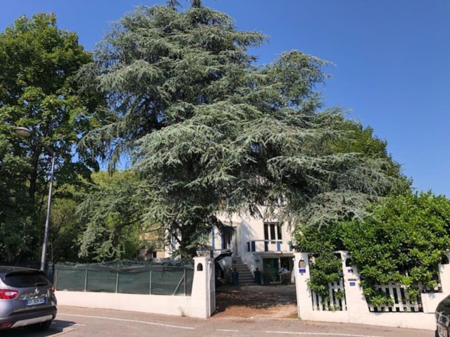 Villa Les Terrasses Dans La Nature Avec Piscine A 2 Pas De Lyon, Metro A 15Mn A Pied Pour Lyon Centre En 10Mn Ou Bus A 300M Pour Lyon Centre Oullins Buitenkant foto